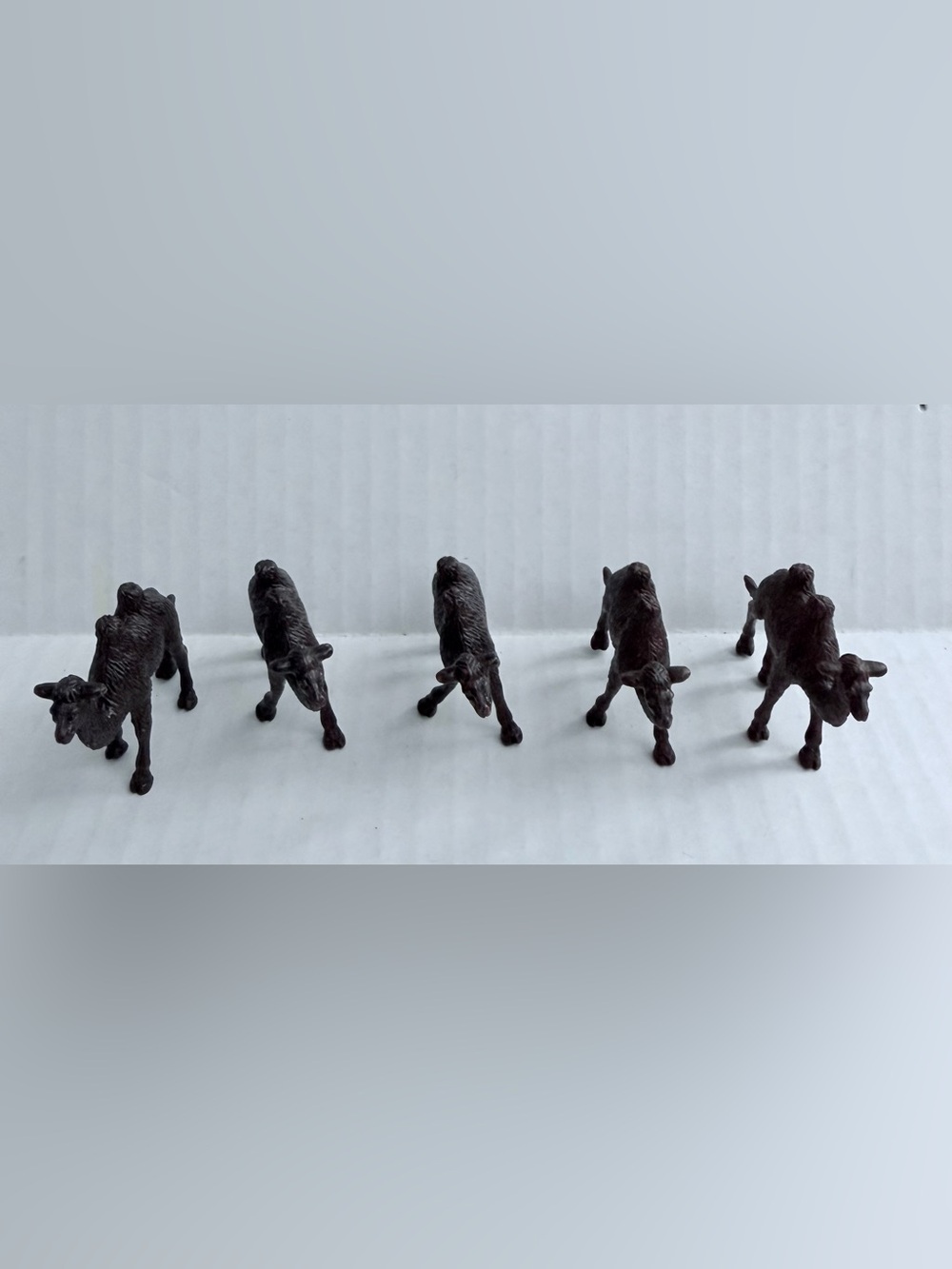 Bactrian Camel Figure Set